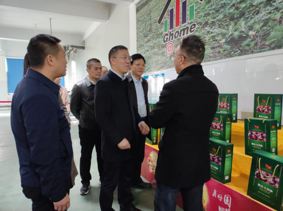 市委常委、組織部部長、統(tǒng)戰(zhàn)部部長龔紅果蒞臨天香生物調(diào)研