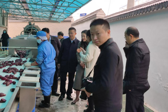 市委常委、組織部部長、統(tǒng)戰(zhàn)部部長龔紅果蒞臨天香生物調(diào)研