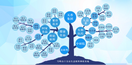 市委常委、組織部部長、統(tǒng)戰(zhàn)部部長龔紅果蒞臨天香生物調(diào)研