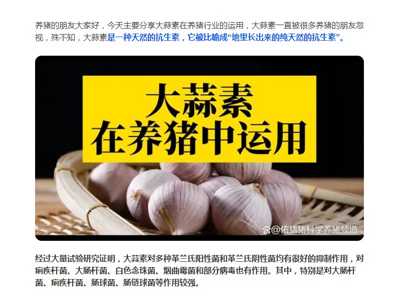 大蒜素在養(yǎng)豬行業(yè)的運用，您了解多少？